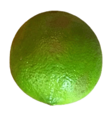 Bergamotto Bio