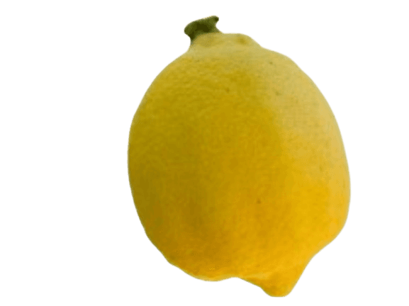 Limone Femminello Siracusano